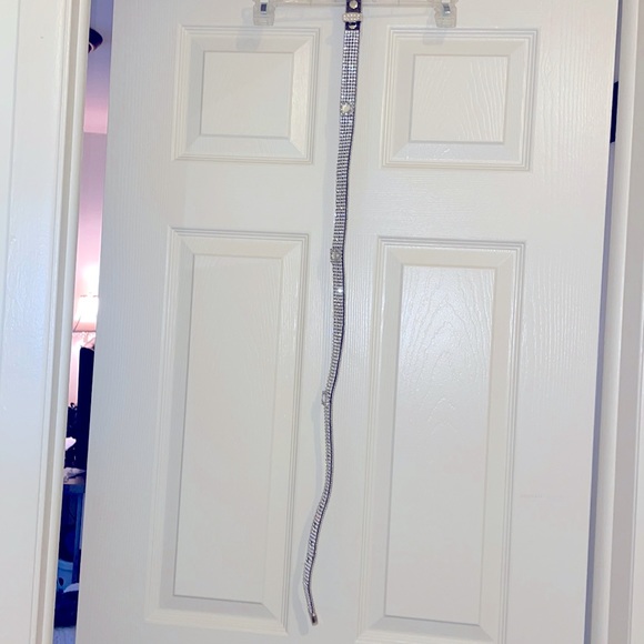 Sparkly Belt - Picture 3 of 6